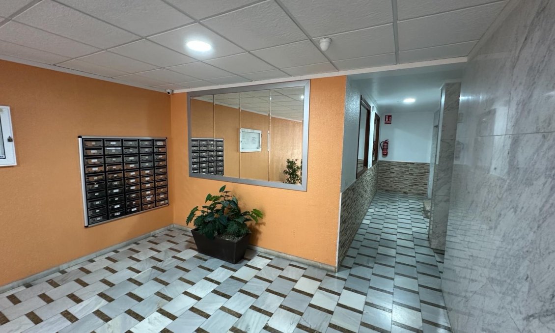 Használt Ingatlanok - Apartman -
Torrevieja - Costa Blanca