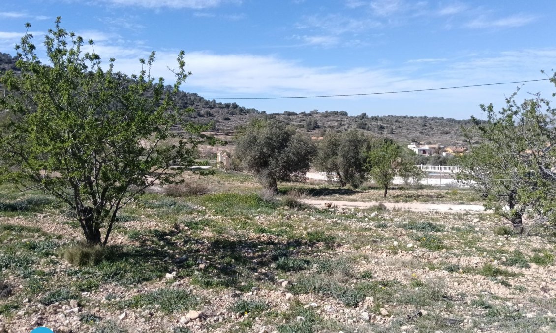 Resale - Villa -
Abanilla