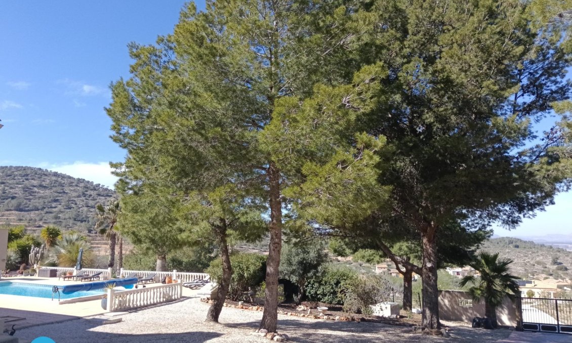 Resale - Villa -
Abanilla