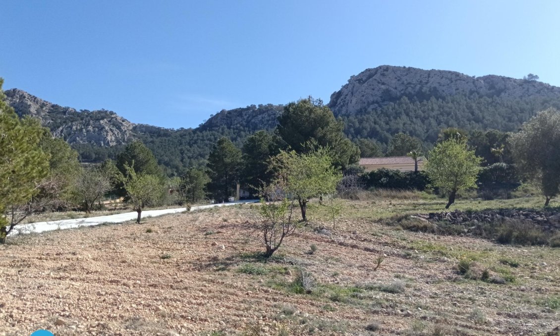 Resale - Villa -
Abanilla