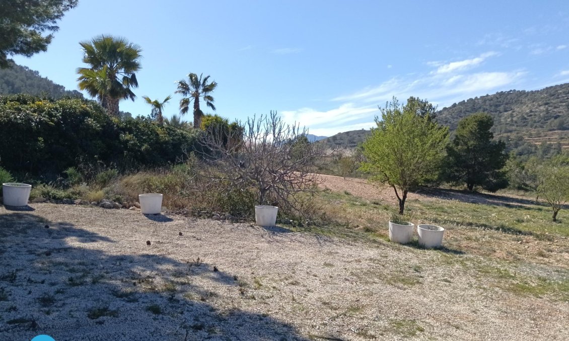 Resale - Villa -
Abanilla