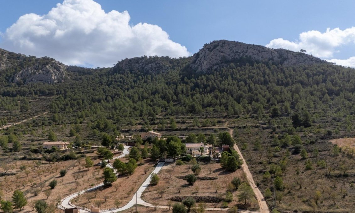 Resale - Villa -
Abanilla