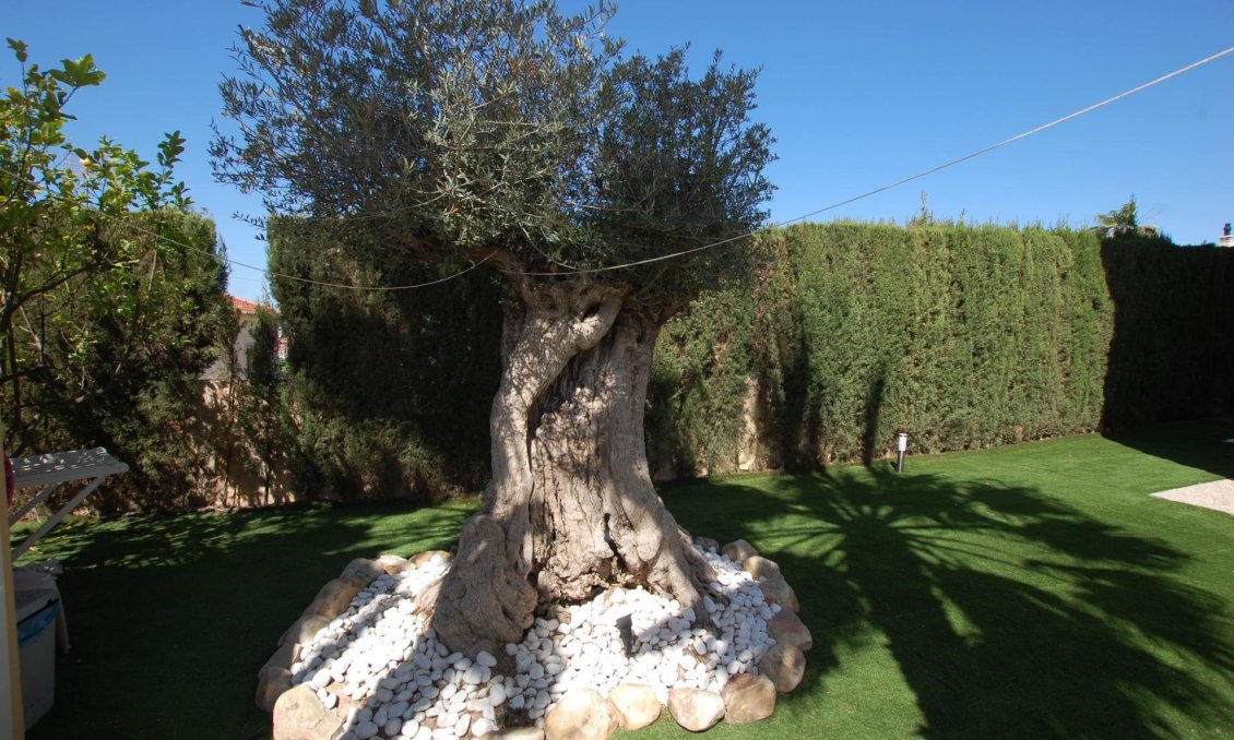 Segunda mano - Villa -
Ciudad Quesada - Costa Blanca