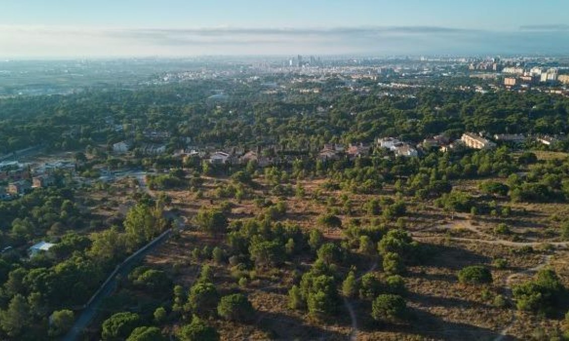 Obra nueva - Villa -
Godella - Campolivar