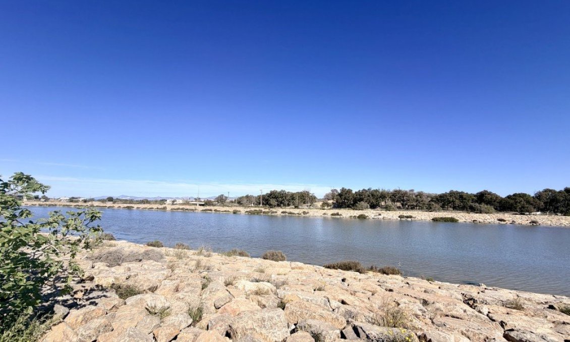Wiederverkauf - Wohnung -
Guardamar del Segura - Costa Blanca