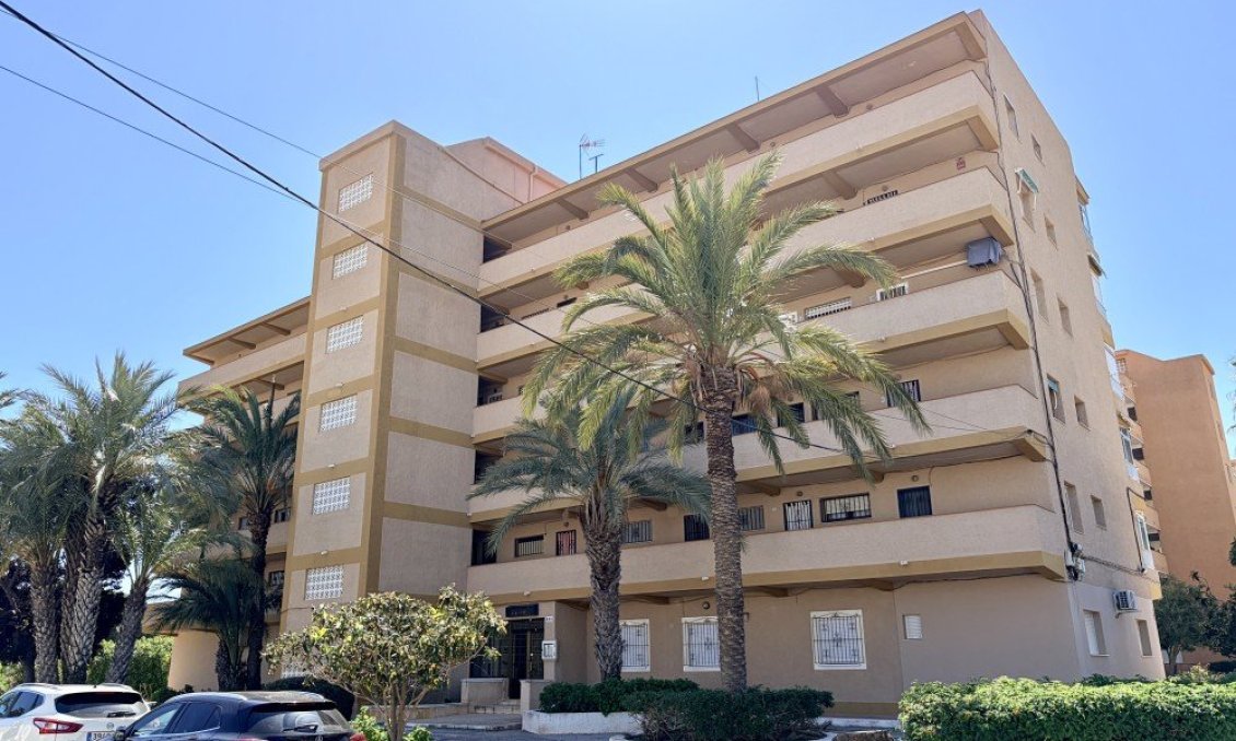 Használt Ingatlanok - Apartman -
Guardamar del Segura - Costa Blanca