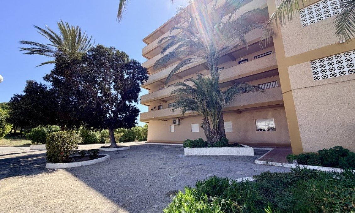 Használt Ingatlanok - Apartman -
Guardamar del Segura - Costa Blanca
