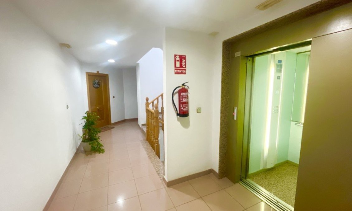 Wiederverkauf - Penthouse -
Pilar de la Horadada - Costa Blanca