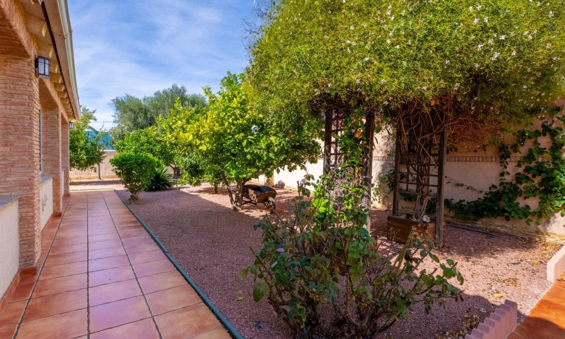 Resale - Villa -
Torrevieja - El Chaparral