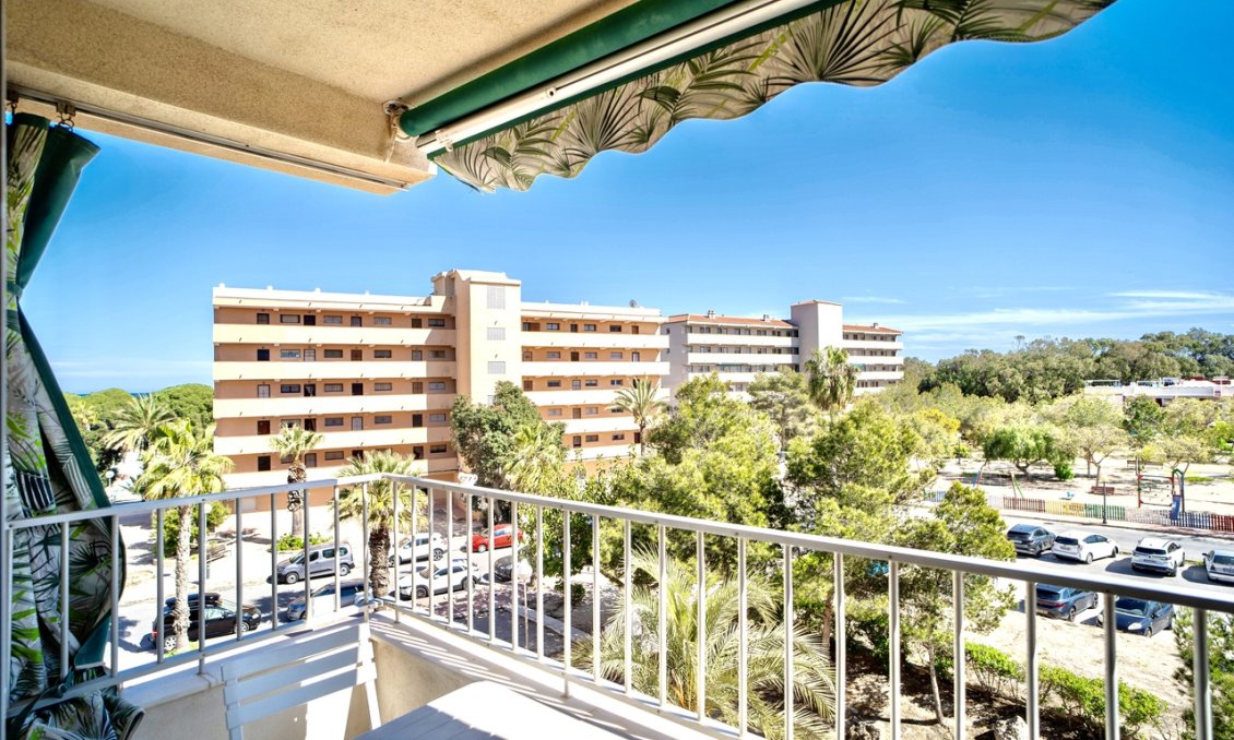Wiederverkauf - Wohnung -
Guardamar del Segura - Costa Blanca