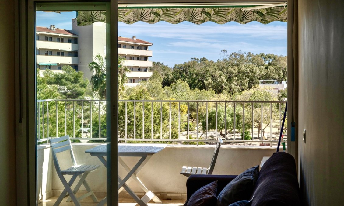 Wiederverkauf - Wohnung -
Guardamar del Segura - Costa Blanca