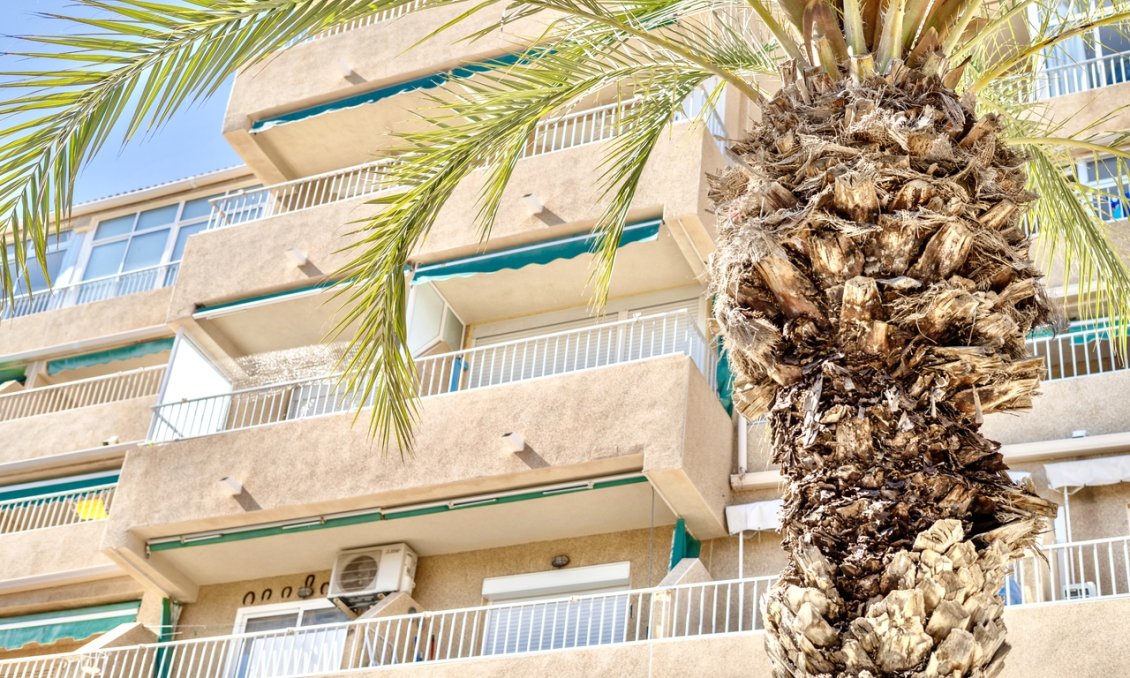 Wiederverkauf - Wohnung -
Guardamar del Segura - Costa Blanca