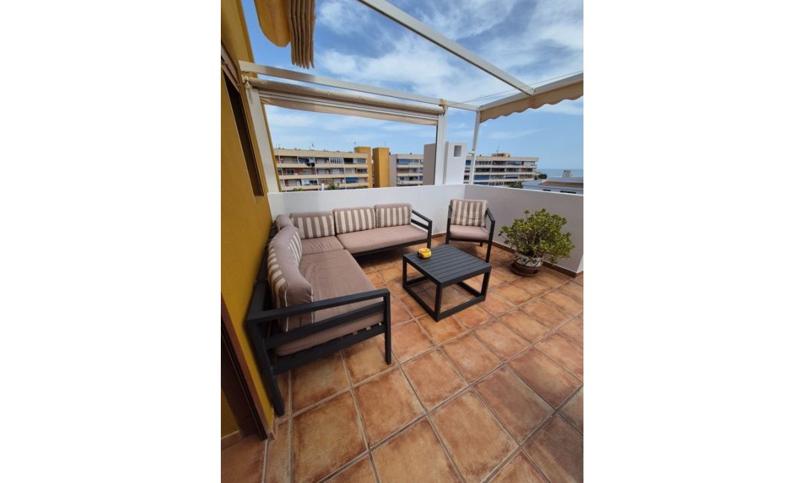 Wiederverkauf - Wohnung -
Punta Prima - Costa Blanca