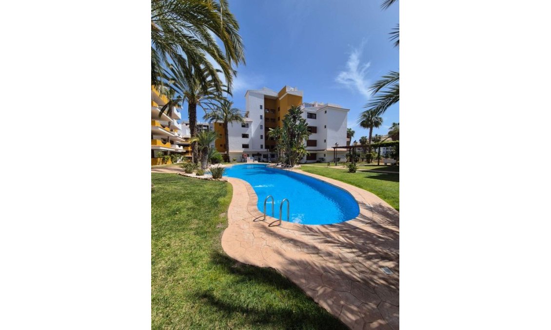 Wiederverkauf - Wohnung -
Punta Prima - Costa Blanca