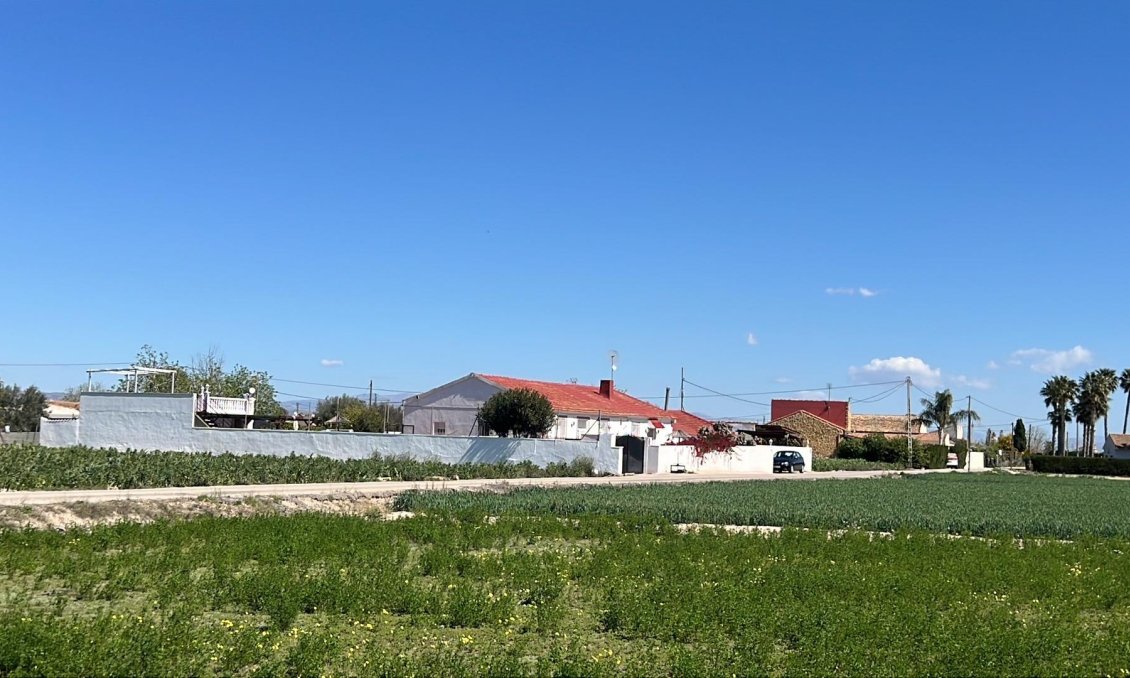 Használt Ingatlanok - Villa -
Dolores - Comunidad Valenciana