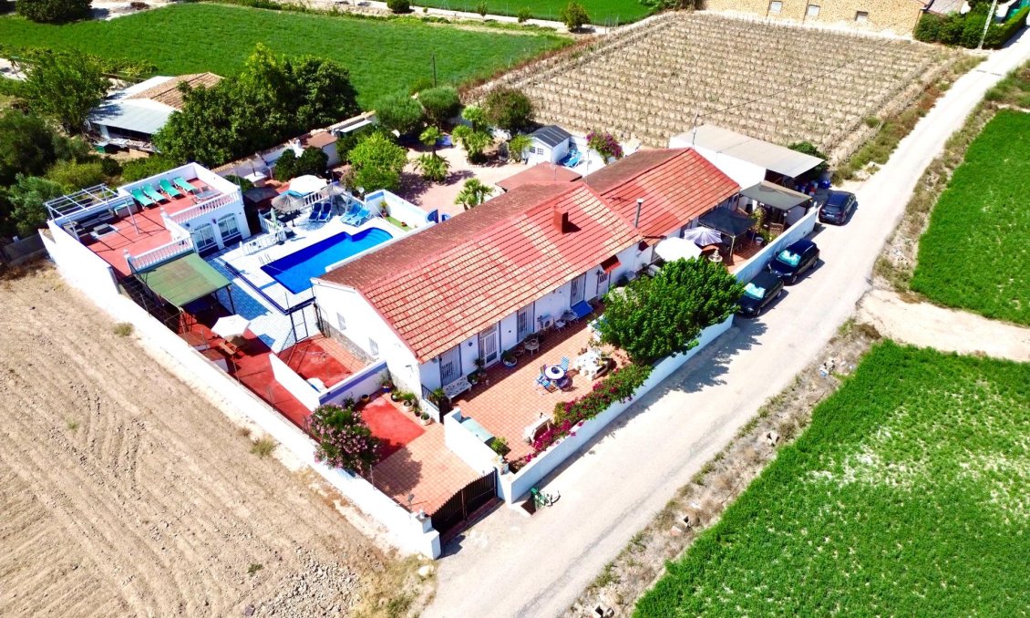 Használt Ingatlanok - Villa -
Dolores - Comunidad Valenciana