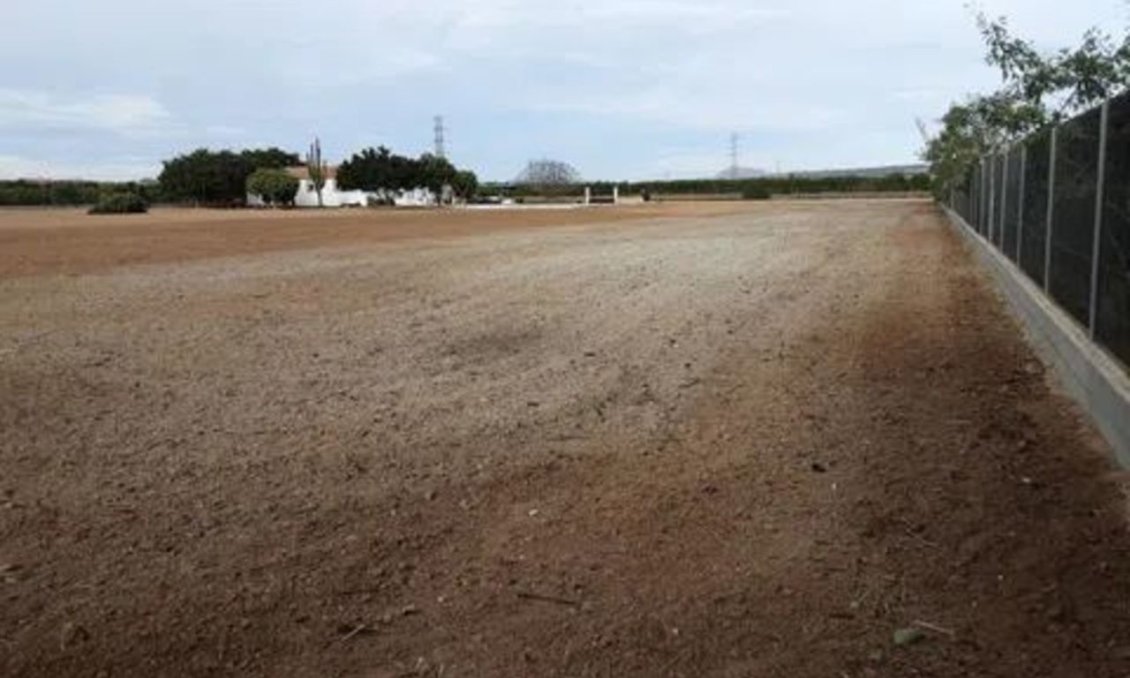 Wiederverkauf - Villa -
San Miguel de Salinas - Inland