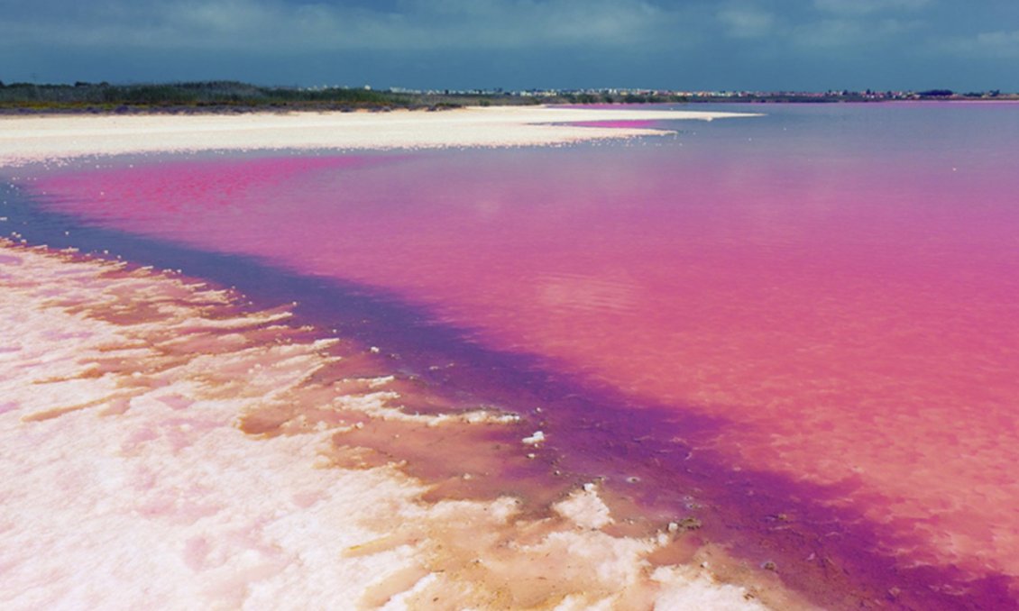 Wiederverkauf - Wohnung -
Villamartin - Costa Blanca