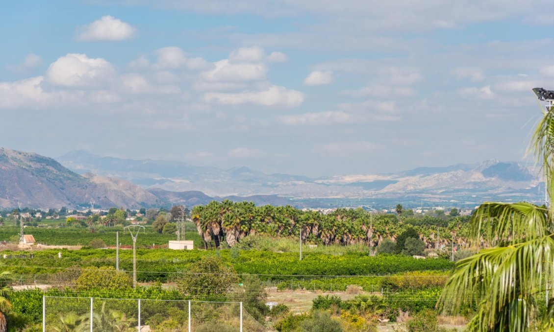 Használt Ingatlanok - Apartman -
Jacarilla - Inland