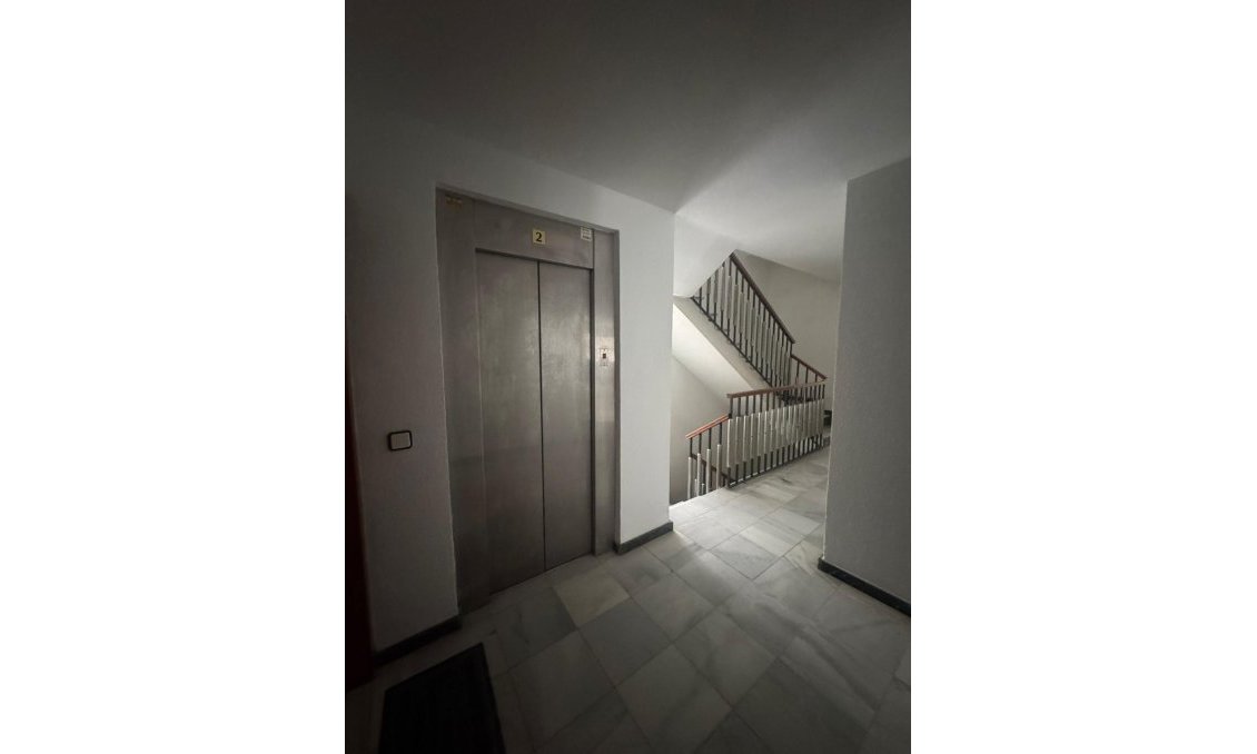 Segunda mano - Apartamento -
Orihuela - Zona Centro