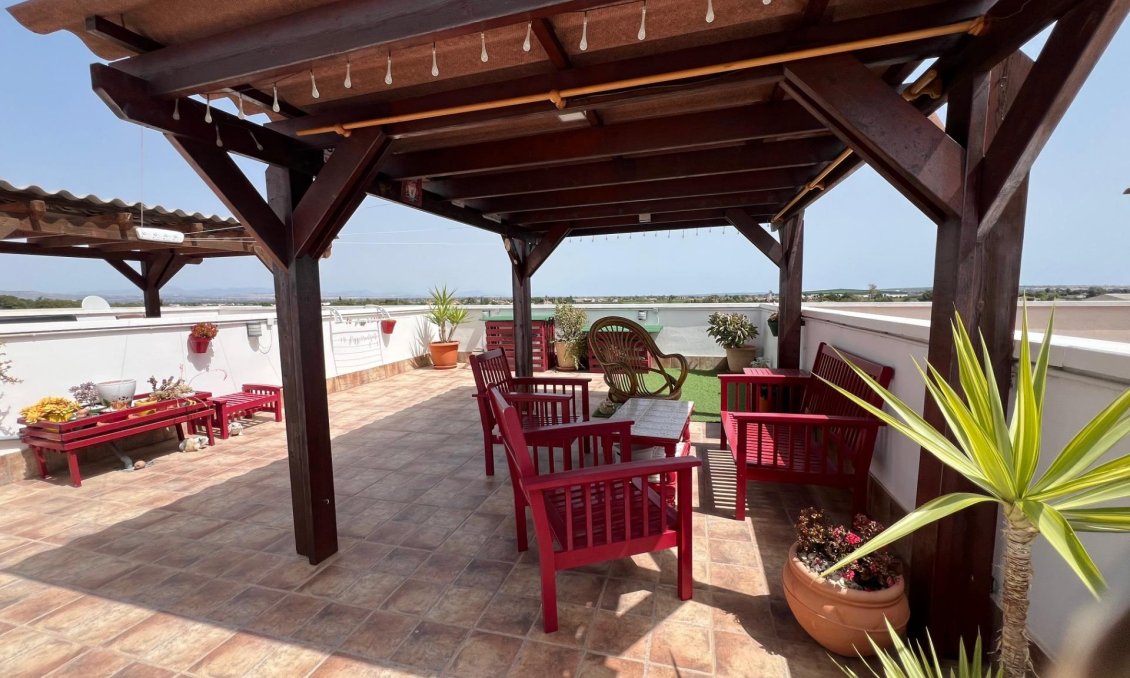 Segunda mano - Apartamento -
Dolores - Comunidad Valenciana