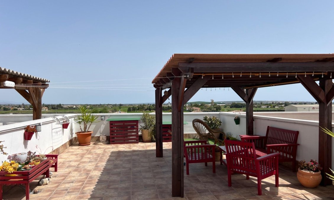 Segunda mano - Apartamento -
Dolores - Comunidad Valenciana