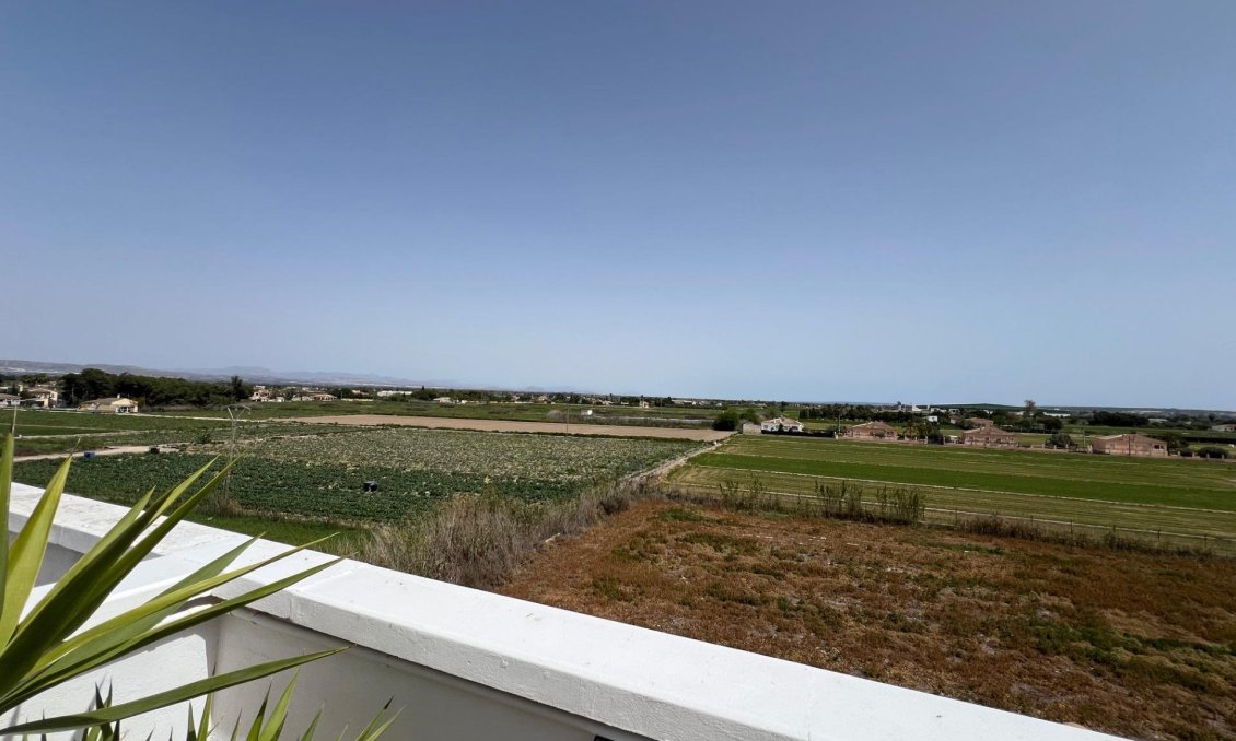 Segunda mano - Apartamento -
Dolores - Comunidad Valenciana