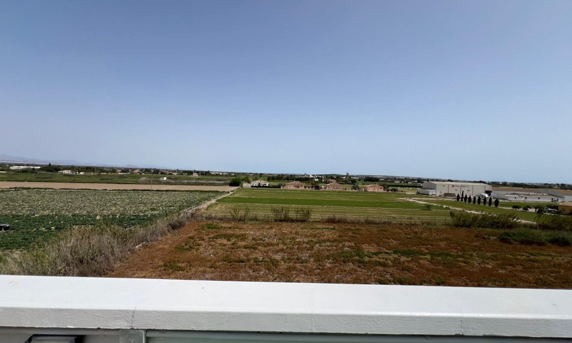 Segunda mano - Apartamento -
Dolores - Comunidad Valenciana