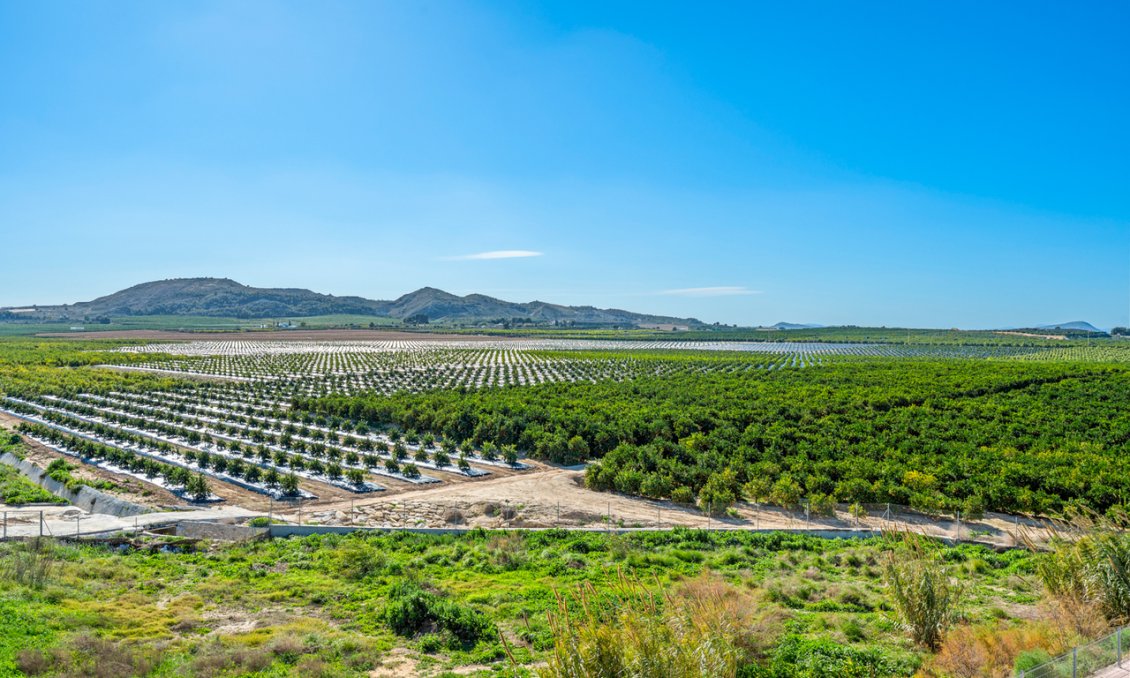 Segunda mano - Apartamento -
Algorfa - Inland