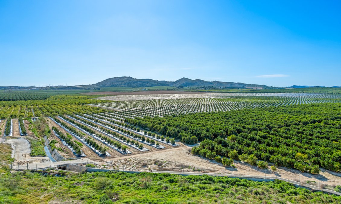Segunda mano - Apartamento -
Algorfa - Inland