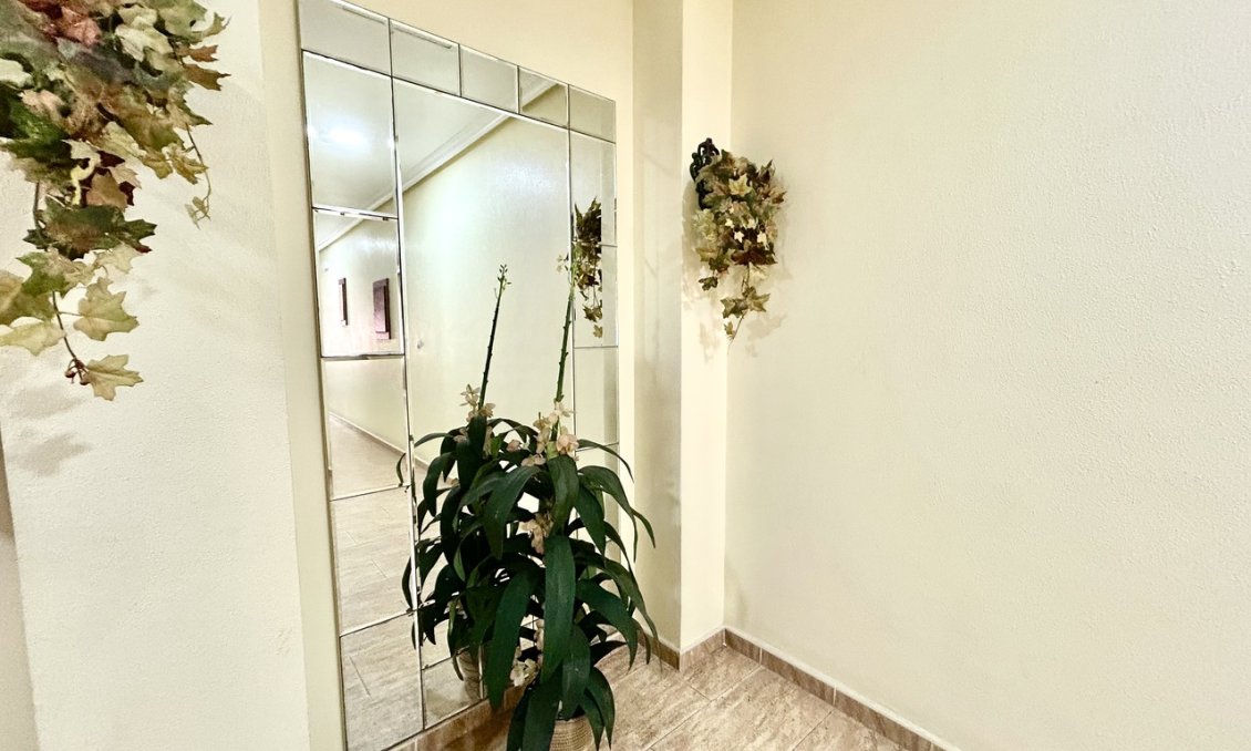 Segunda mano - Apartamento -
Almoradí - Inland