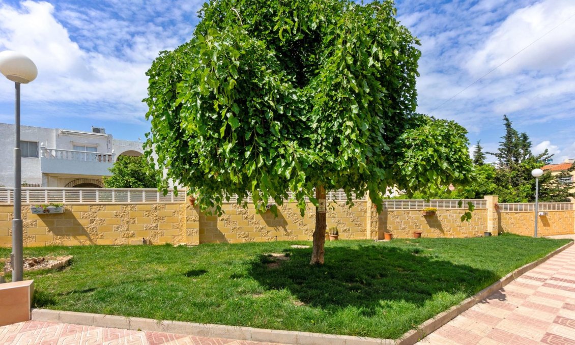 Resale - Apartment -
Torrevieja - El Chaparral