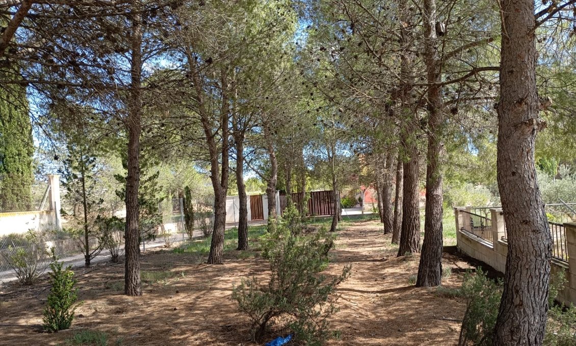 Segunda mano - Villa -
Yecla - Inland