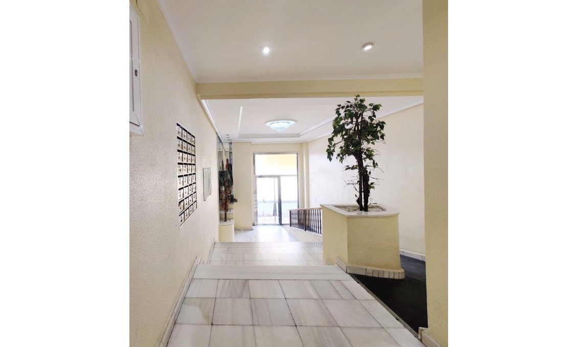 Segunda mano - Ático -
Torrevieja - Curva Del Palangre