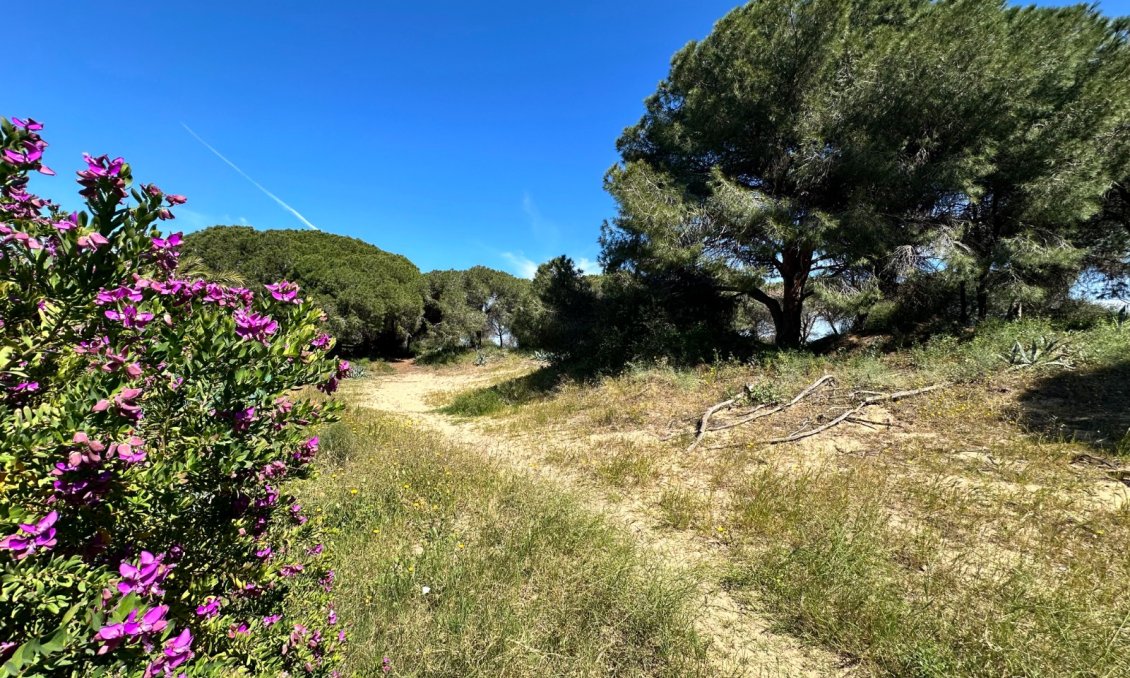 Revente - Town House -
Guardamar del Segura - Costa Blanca