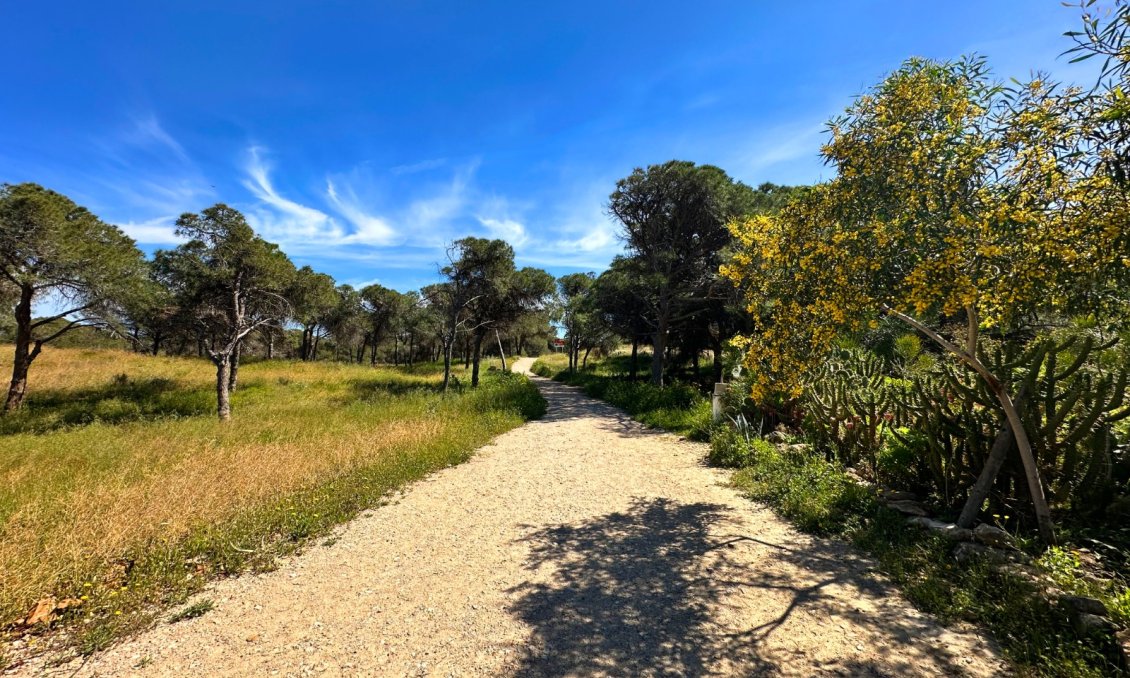 Revente - Town House -
Guardamar del Segura - Costa Blanca