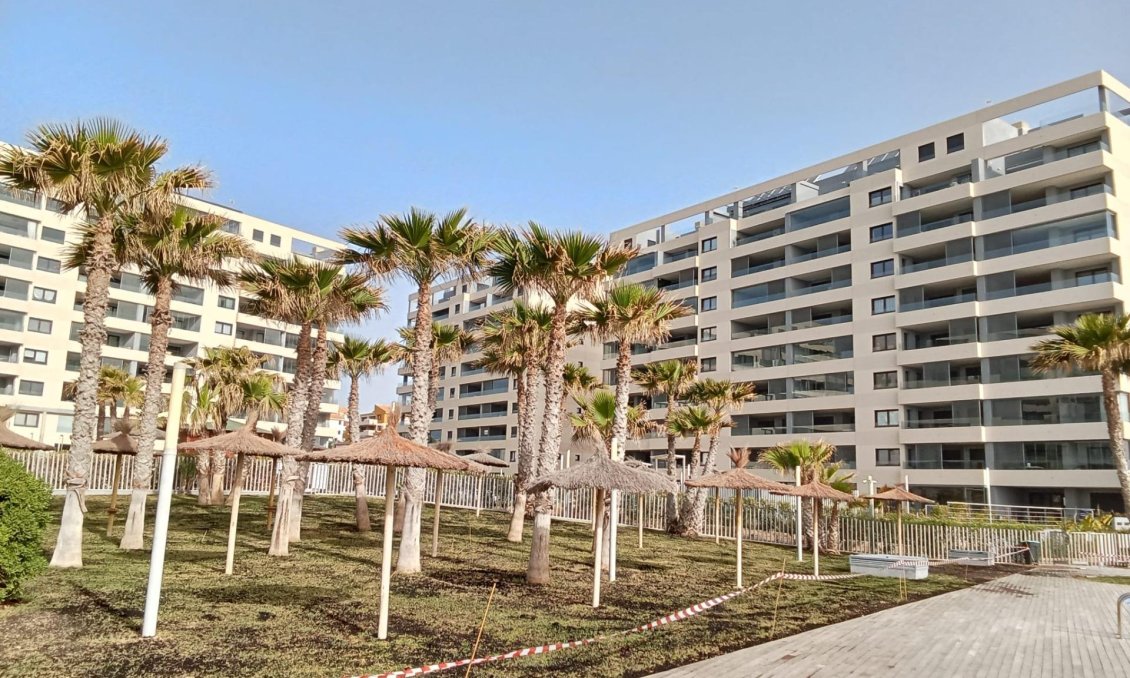 Használt Ingatlanok - Apartman -
Torrevieja - Punta Prima