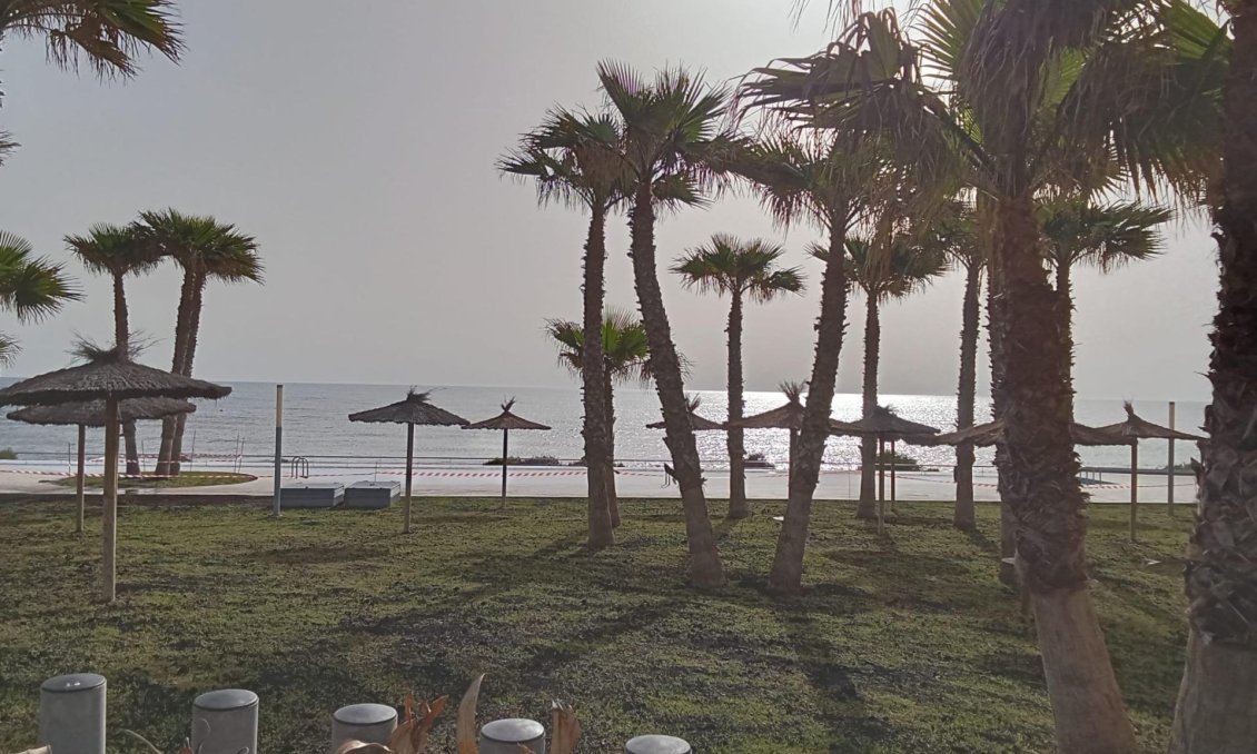 Használt Ingatlanok - Apartman -
Torrevieja - Punta Prima