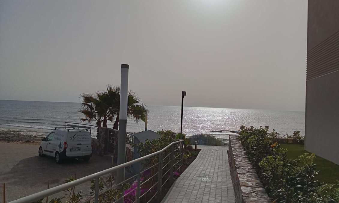 Használt Ingatlanok - Apartman -
Torrevieja - Punta Prima