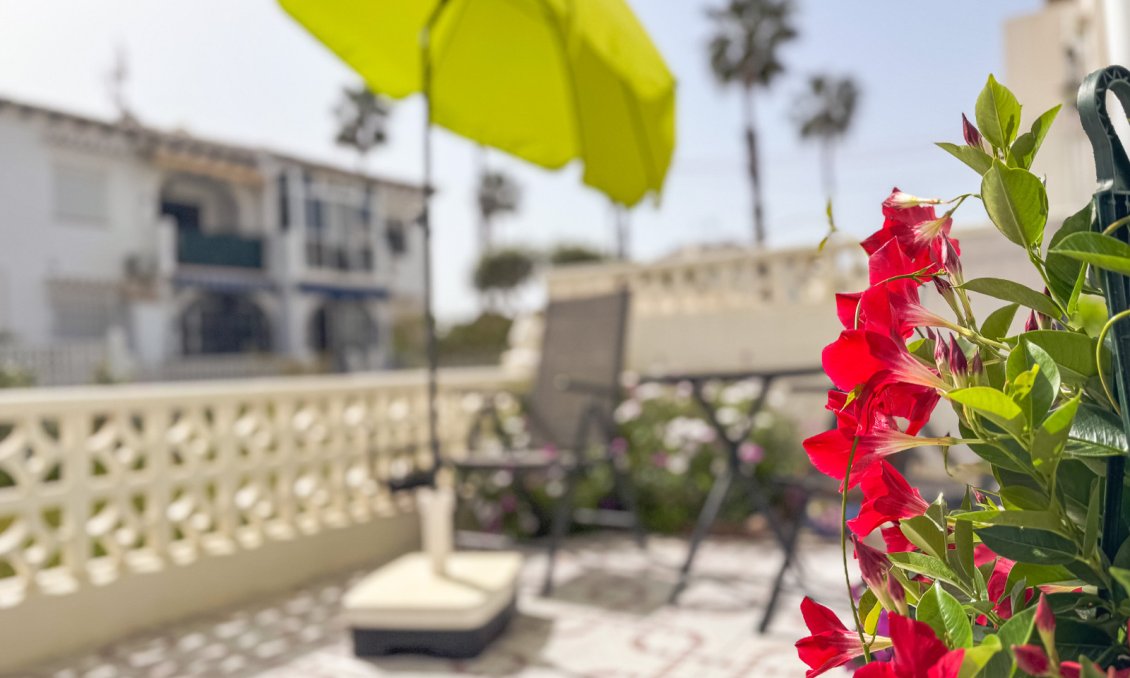 Wiederverkauf - Bungalow -
Torrevieja - Costa Blanca