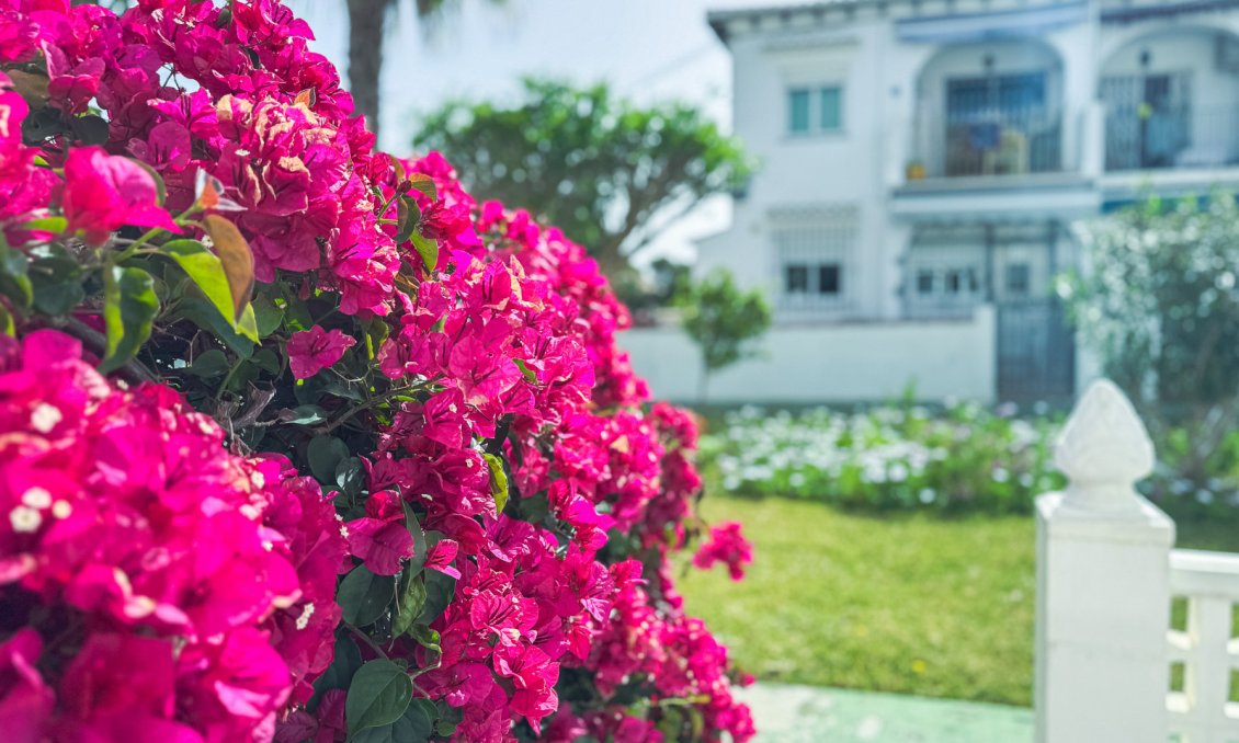 Wiederverkauf - Bungalow -
Torrevieja - Costa Blanca