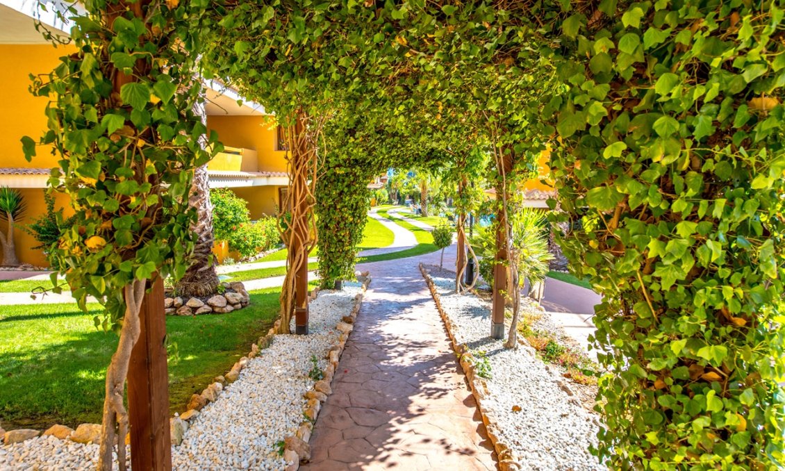 Segunda mano - Apartamento -
Torrevieja - Costa Blanca