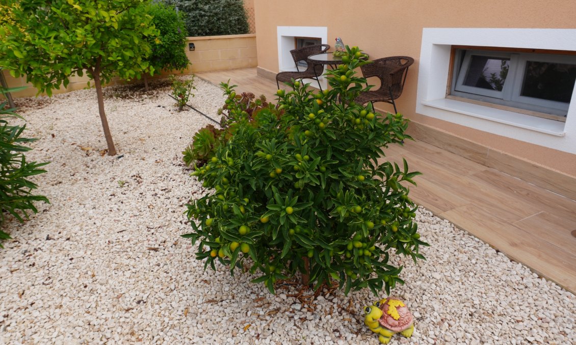 Resale - Villa -
La Romana - Inland