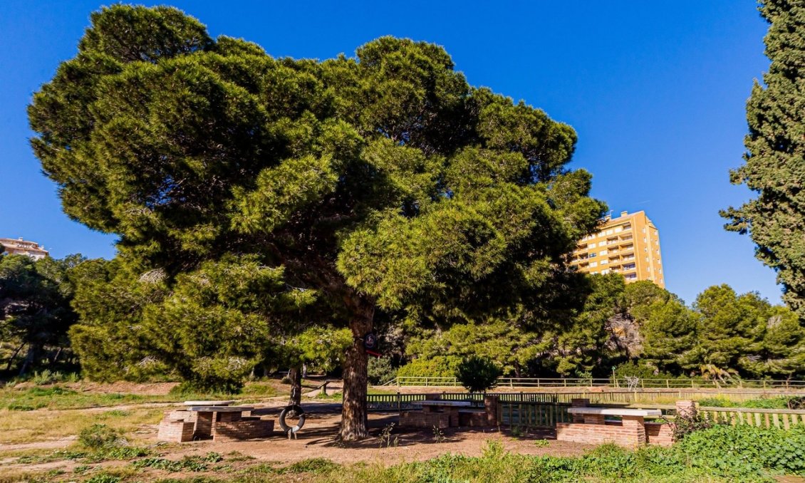 Segunda mano - Duplex -
Dehesa de Campoamor - Costa Blanca