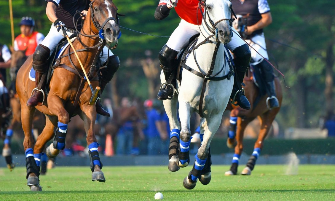 Obra nueva - Apartamento -
Manilva - Bahia De Las Rocas