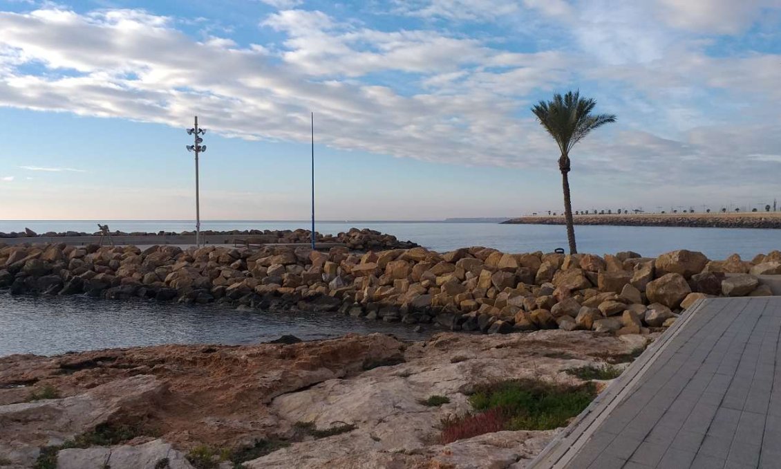 Használt Ingatlanok - Apartman -
Torrevieja - Costa Blanca