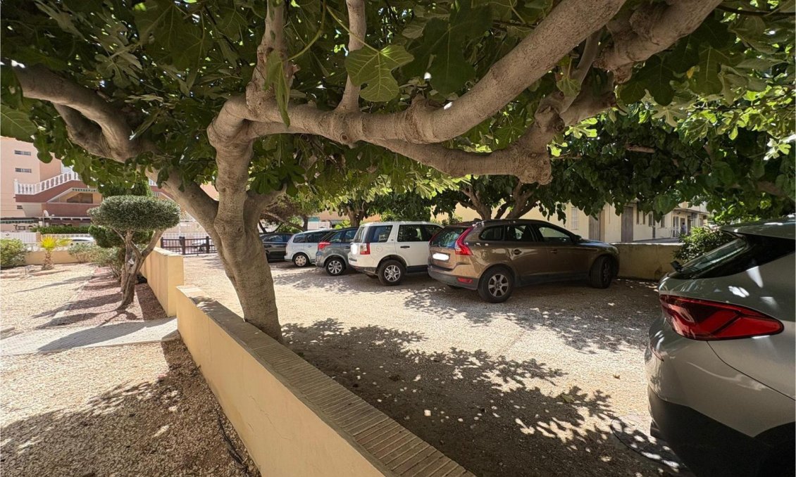 Segunda mano - Apartamento -
Torrevieja - Costa Blanca