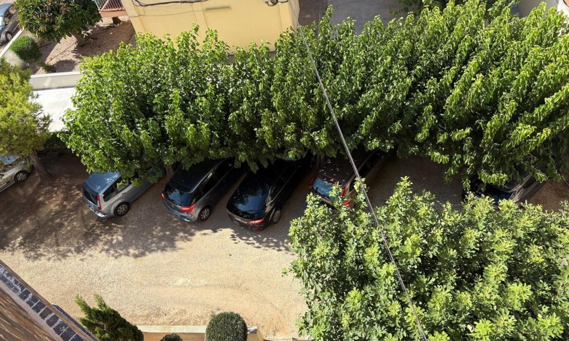 Segunda mano - Apartamento -
Torrevieja - Costa Blanca