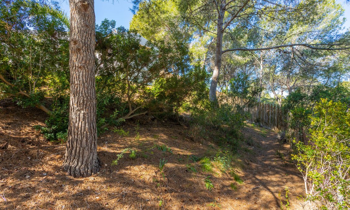 Segunda mano - Villa -
Orihuela - Inland