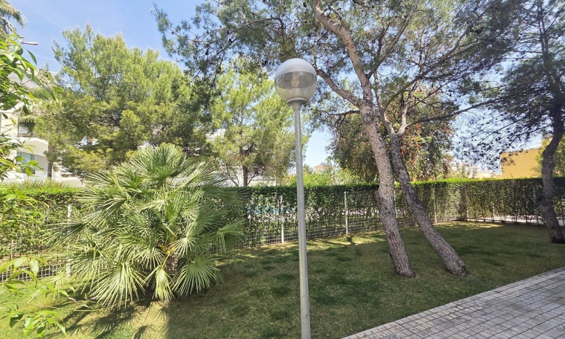 Segunda mano - Apartamento -
Villamartin - Costa Blanca